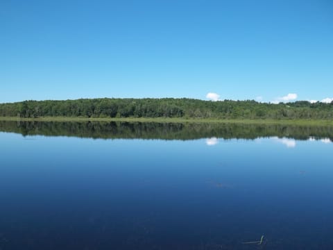 Mainstream Pond in the Fall