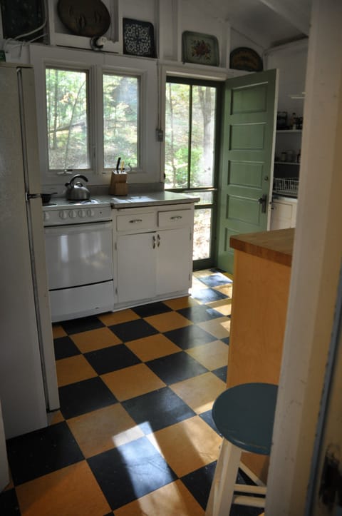 Kitchen with back door open into the forest.