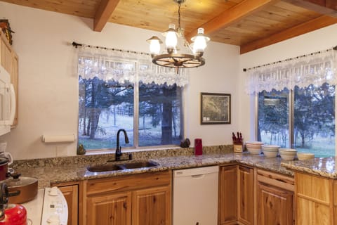 Kitchen granite counters and hammered copper sink