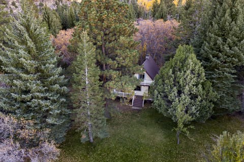 Birds eye view Hidden Pines A frame cabin by Bob Hodson Photography