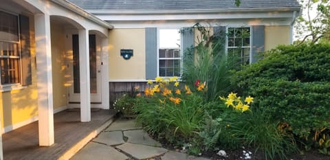 Summer Front Garden