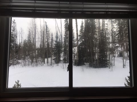 View from bedroom windows - watch deer, elk, moose, fox and other wildlife!