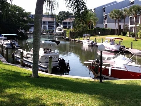 View from the lanai. We've seen manatees come in from the intercoastal water.