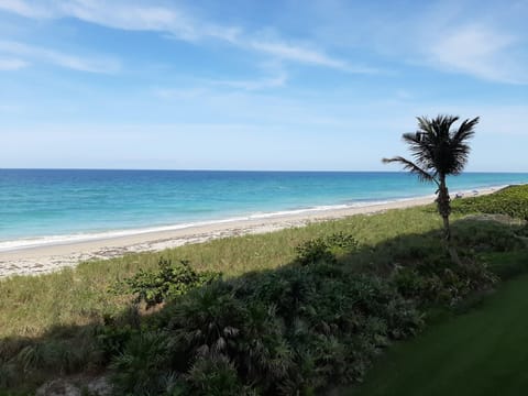 View from the Balcony