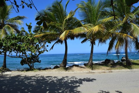 View from the front porch/front door.
