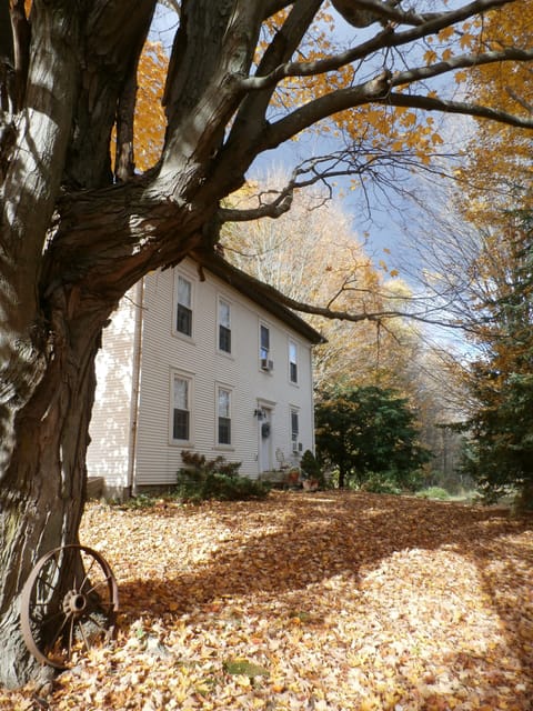 A beautiful Fall day on the Mountain...
