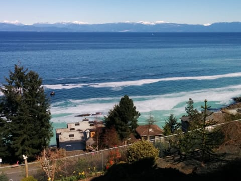 Herring season in March. View from the deck of Big Vista.