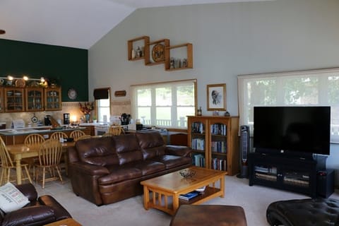 Living area and kitchen.