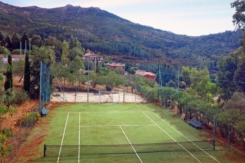 Sport court