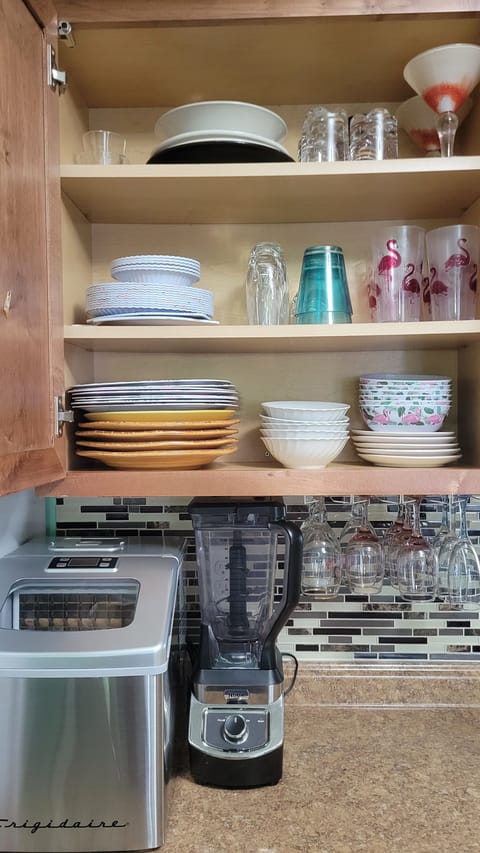 Icemaker, Ninja blender