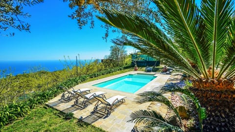 Private pool with nice garden at villa located in sorrentine peninsula holidays