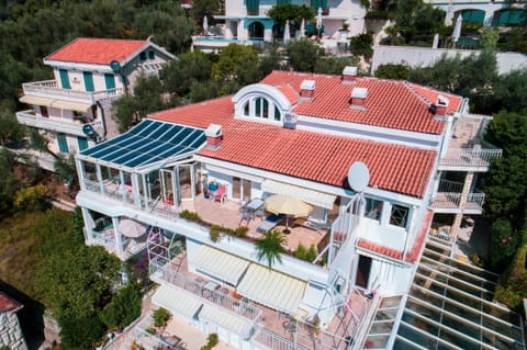 The outer appearance of the house from the bird's perspective.