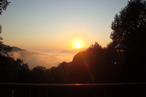 wake up sleepy head but stay in bed- view from kitchen