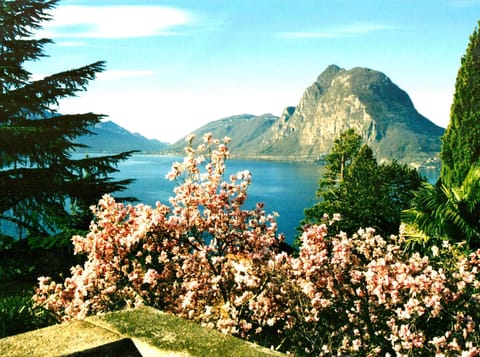   Barony "Violetta" near Castagnola lake, pool, air   conditioning, parking Apartment in Lugano