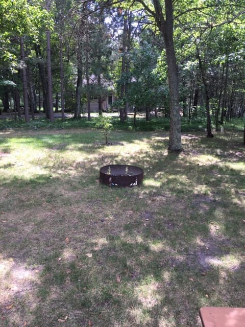 fire pit in the yard