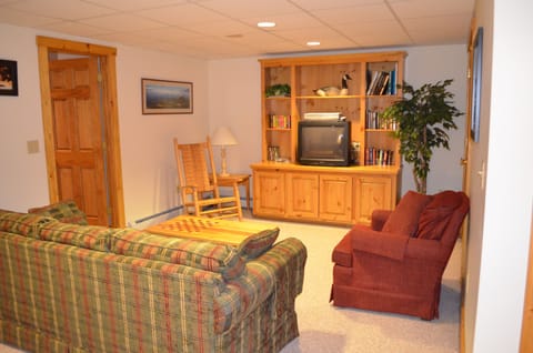 Basement Living room with pull out coach, games, books, movies...