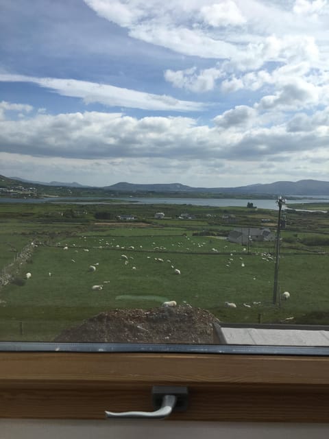 View from upstairs bedrooms