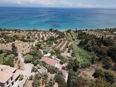 Main view