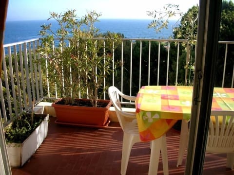 Terrace / Balcony