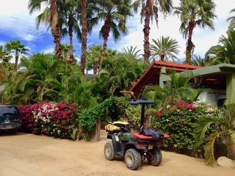 Our vacation rental is a secluded, restful p & located in town.