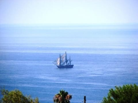 Panoramic Ocean, Bay & City View Custom Home