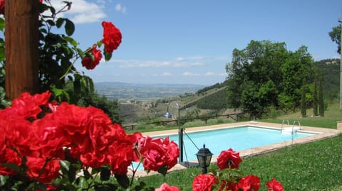 The roses aroud the Pool More details www.leloggedisilvignano.it