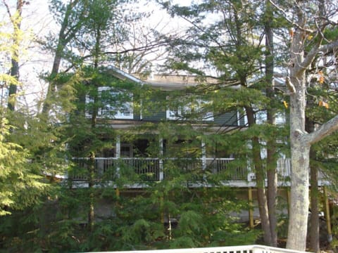 Cottage shaded by 100 year old hemlocks