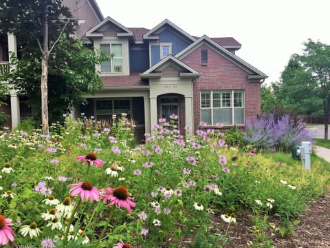 Front from the park
