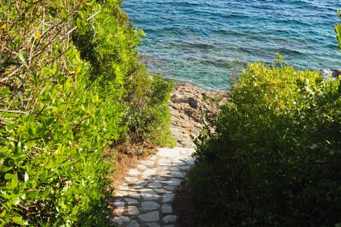 Footpath to the sea.