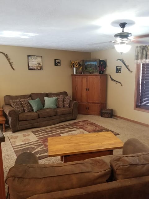 Living room with satellite TV, sofa sleeper & DVD player