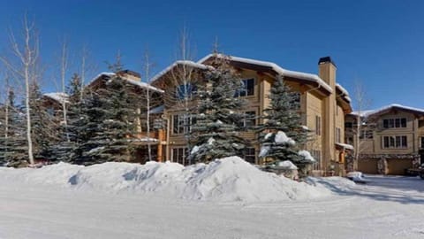 Winter - Central Park Condominiums