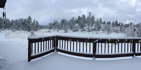 Winter off the back deck