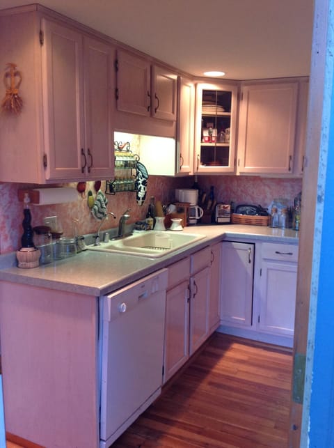 Galley kitchen with deck overlooking pristine nature area.