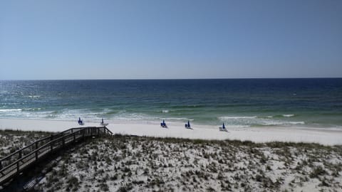 The Beach !