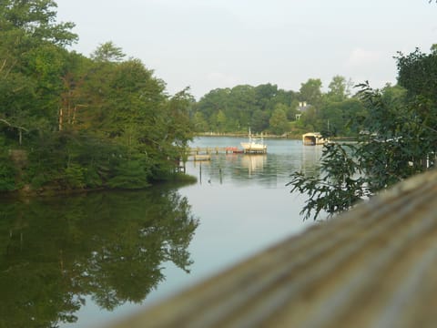 From the upstairs deck
