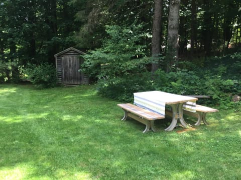 Side yard with picnic table