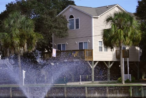 palm trees, a breeze and a view...