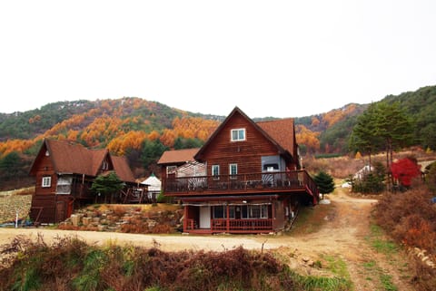 "WON" Suite Liun Pine Tree Cabin