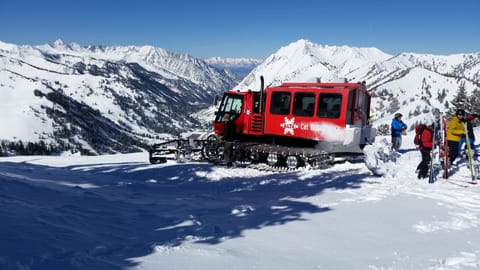 cat skiing in Alta