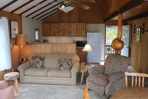 Living room and kitchen