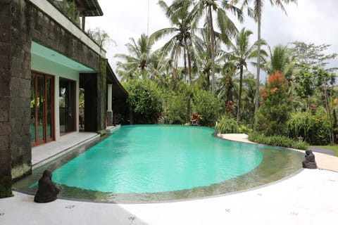 Magnificent unheated 18x8m swimming pool