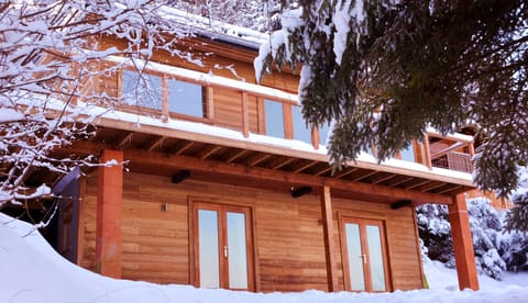 Luxury chalet 300 meters from cable car