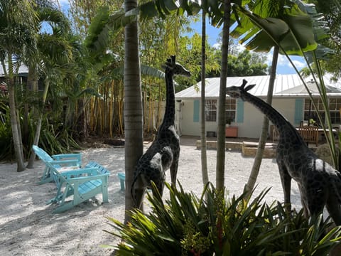 Backyard with the life-size bronze giraffe