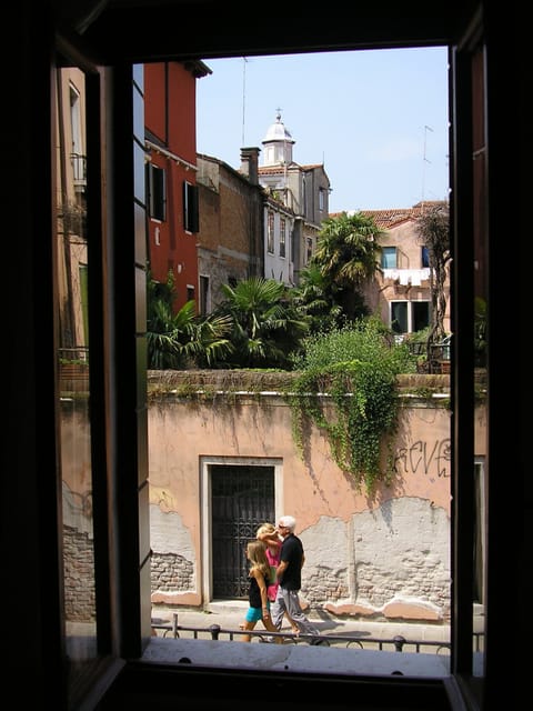 Garden view from living room window