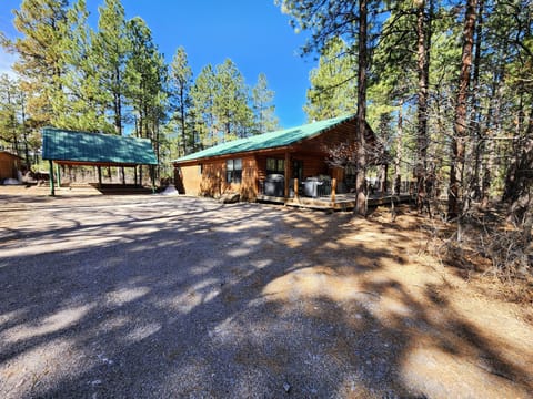 Front View of Cabin and carport