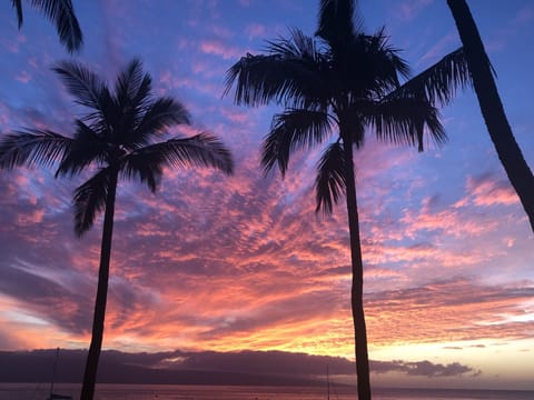 Another beautiful sunset 
