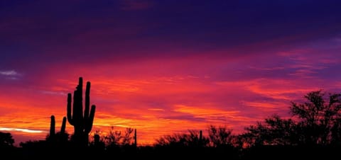 The best desert views to be had in some of the lushest Sonora High Desert!