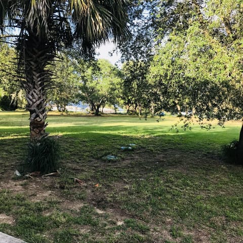 Looking towards Starr Lake.