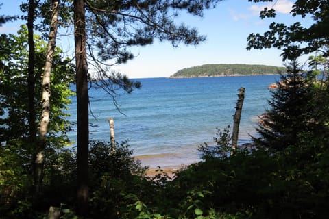 View from livingroom.