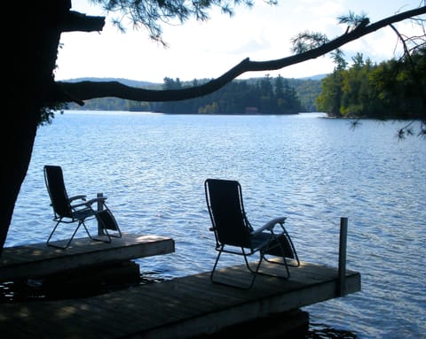 Lakeside cabin with private dock and boat slip
